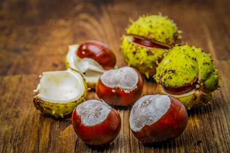 chestnuts on an old table - autumnal still lifeの写真素材
