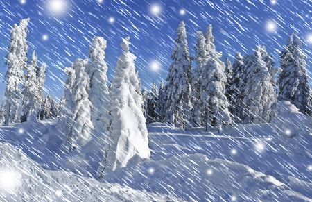 idilic mountain winter landscapeの写真素材