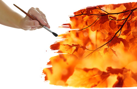 hand paint picture with autumnal foliageの写真素材