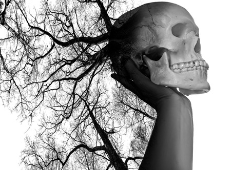 hand with scull on white backgroundの写真素材