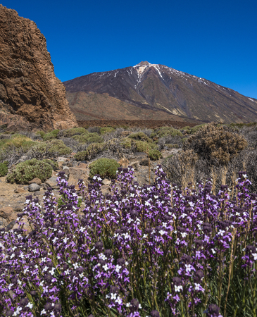 Teide National Park, Tenerife, Canary Islandsの写真素材