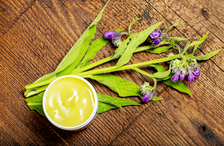 comfrey herb - Symphytum officinaleの写真素材