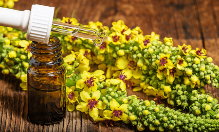 mullein - verbascum extract