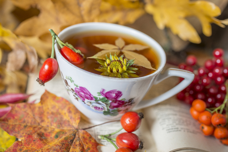 autumn still life with a cup of teaの写真素材