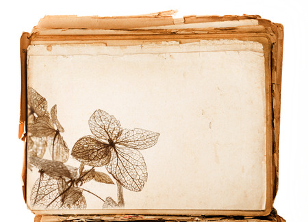 old book - old paper texture in detailの写真素材