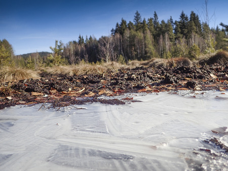 peat bog; peatbog - landscape Sumava Czech republicの写真素材