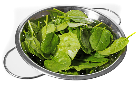 fresh spinach in a bowlの写真素材