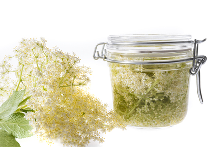 homemade syrup from black elder - herb (sambucus nigra)の写真素材