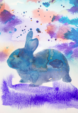 black rabbitの写真素材