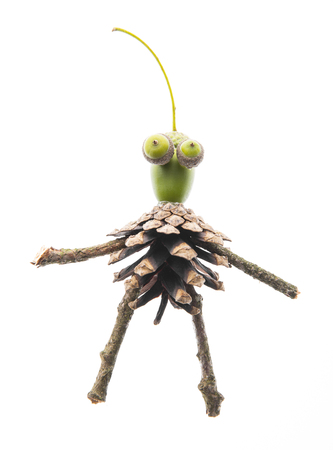 Creature made from natural materials isolated on whiteの写真素材