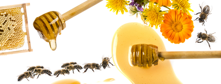 Honey dripping from flower honey dipper isolated on a white backgroundの写真素材