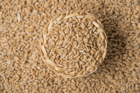 wheat grains close up - in the detailの写真素材