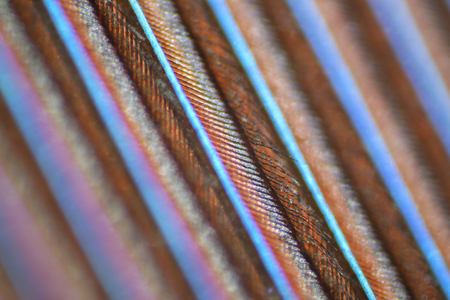 feather texture uder microscope - 100xの写真素材