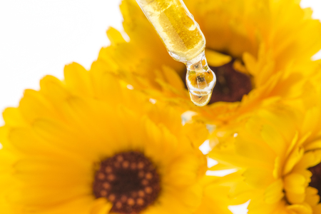 herbal extract from marigold flower (Calendula officinalis)の写真素材