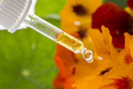healthy extract from nasturtium flower (Tropaeolum)の写真素材