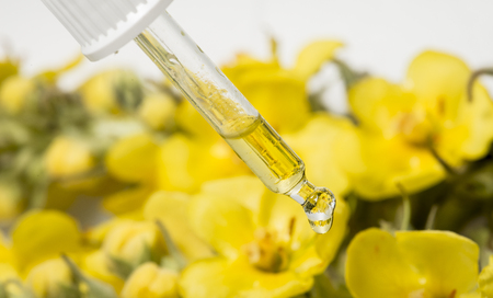 herbal extract - Verbascum densiflorum, mullein flowerの写真素材