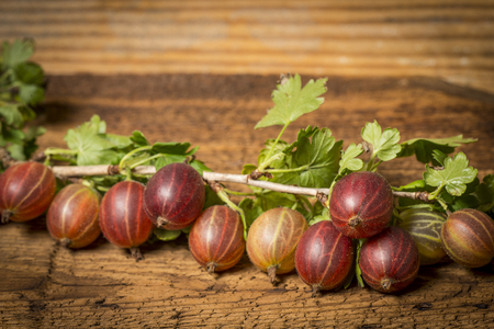 fresh gooseberries close up in the detailの写真素材