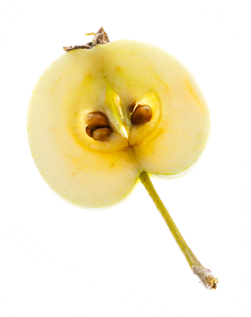 half apple isolated on a white backgroundの写真素材