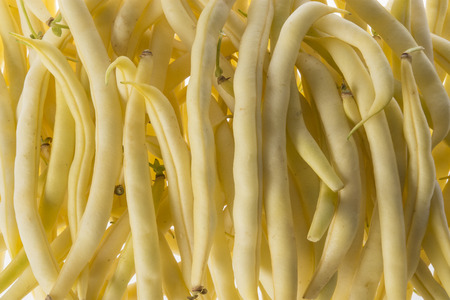 Fresh raw beans on a white backgroundの写真素材
