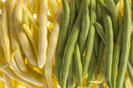 Fresh raw beans on a white backgroundの写真素材