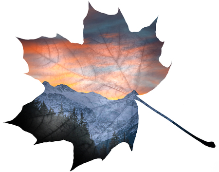 double exposure leaf and Alps in winter - sunset time