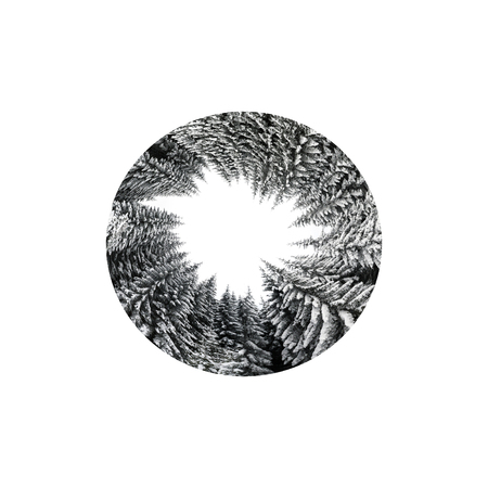 white winter forest in the circle designの写真素材