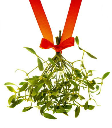 green mistletoe with red ribbon isolated on whiteの写真素材