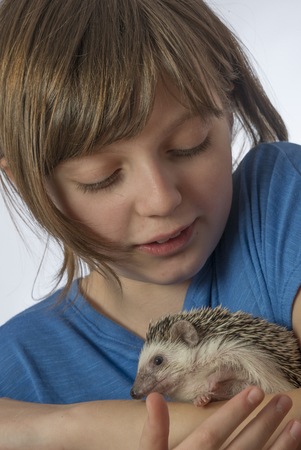 a happy litle girl with her pet African pygmy hedgehogの写真素材