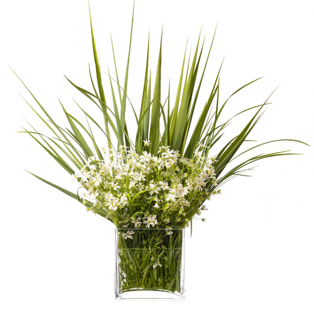 flower bouquet in a glass vase isolated on white backgroundの写真素材