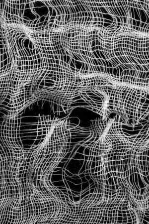 Cotton fibers texture in black and white - textured backgroundの写真素材