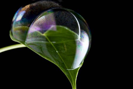 soap bubbles close up in the detail - macro photography