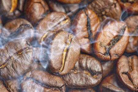 coffee beans in the detail close up