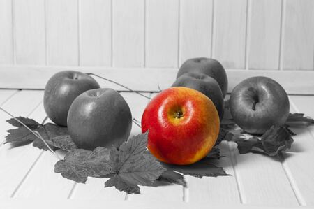 one red apple and autumn leaves in black and whiteの写真素材
