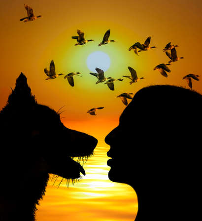 golden sunset and sea and girl and dog
