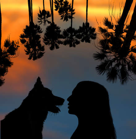 woman and dog silhouettes and sunset landscapeの写真素材