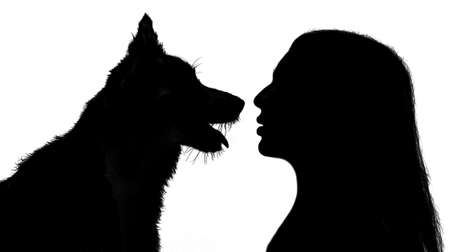 woman and dog dark silhouettesの写真素材
