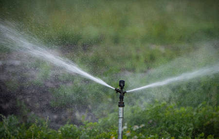 Sprinker irrigation system spraying water on field - close upの写真素材