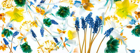 spring flowers