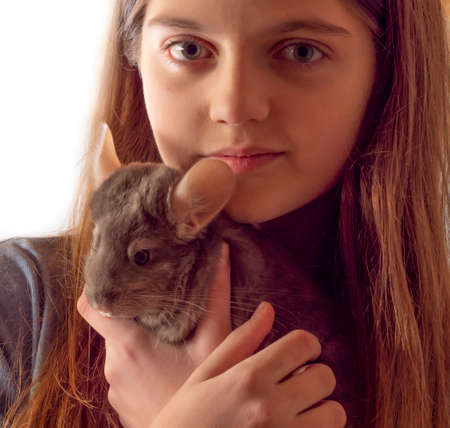 a girl with cute little chinchillaの写真素材