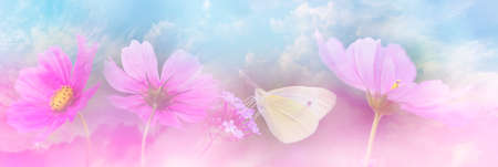 the garden flower and the butterfly - macro photoの写真素材