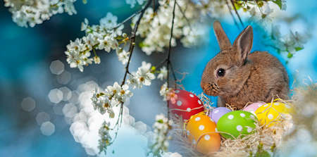 little cute rabbit and easter eggs
