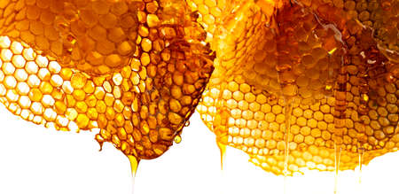 honey texture close up in the detail