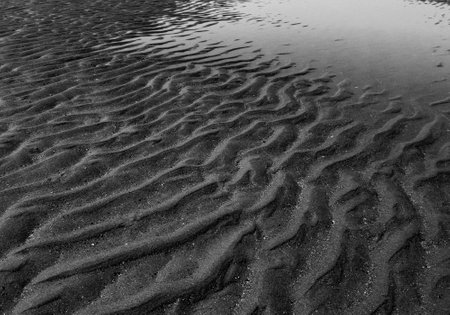 sand on beach black and whiteの写真素材