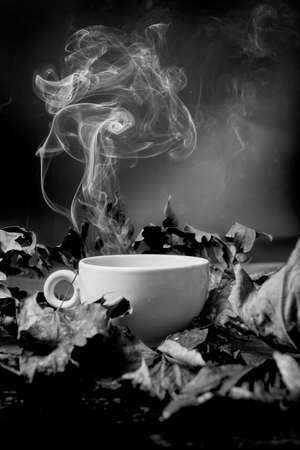 hot tea - autumnal still lifeの写真素材