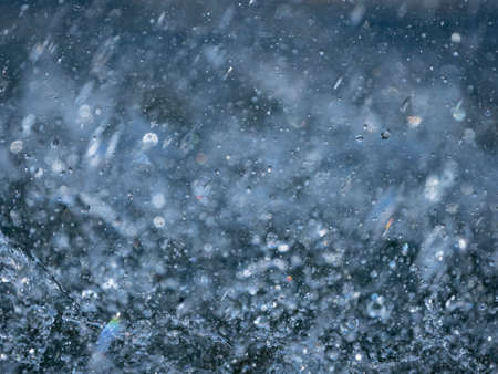 rain - in the macro detail