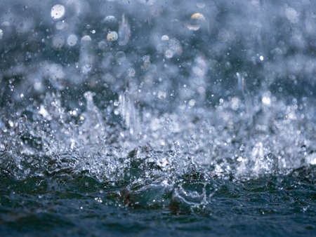 rain - in the macro detailの写真素材