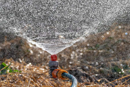 Sprinker irrigation system spraying water on field - close upの写真素材