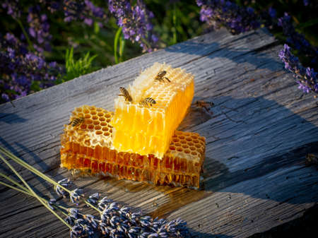 honey in honeycombs and lavender on a wooden table close up