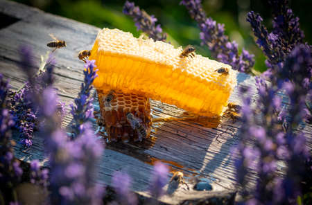 honey in honeycombs and lavender on a wooden table close upの写真素材