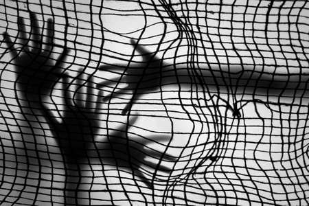 shadow of a hands behind transparent paperの写真素材